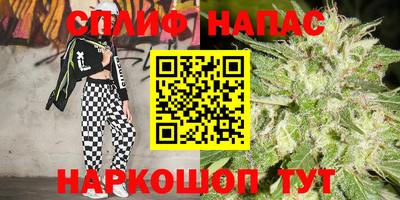 СК Ипатово