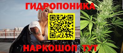 СК Ипатово