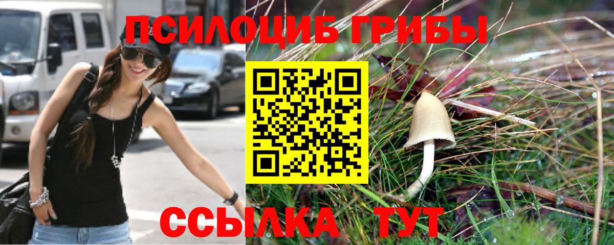 Псилоцибиновые грибы прущие грибы Клинцы