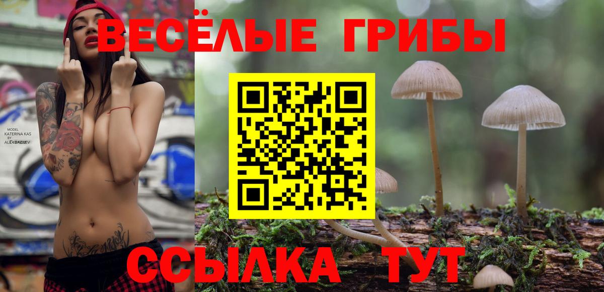 Псилоцибиновые грибы мицелий  Псилоцибиновые грибы мухоморы  Вход с VPN  Клинцы 